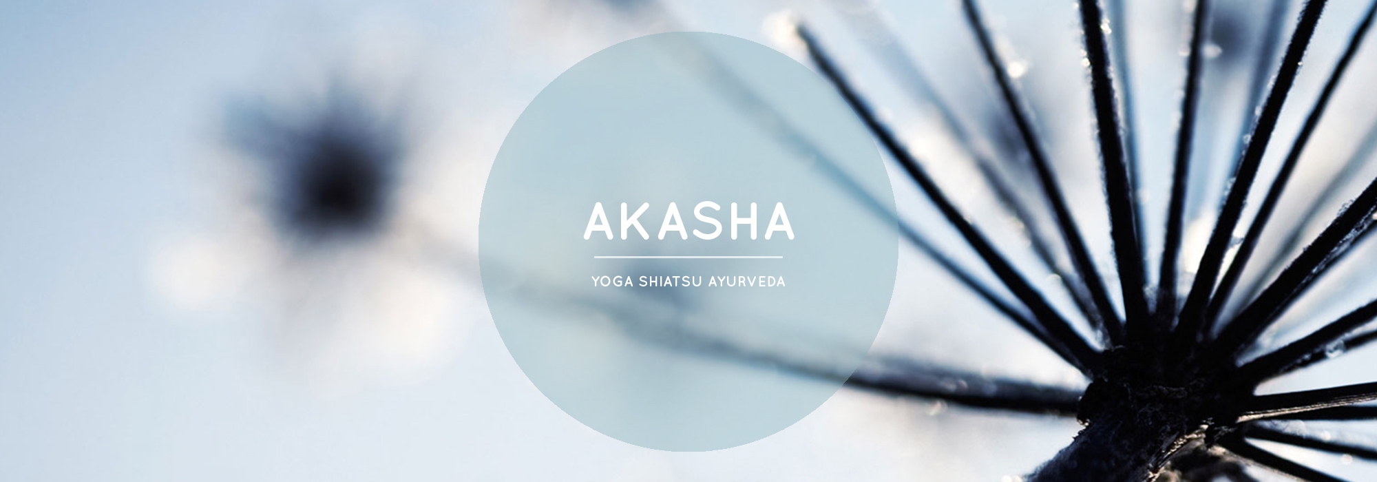 Akasha Studio